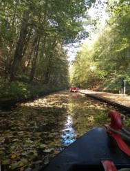 View from the bow deck of a leaf covered canal.
