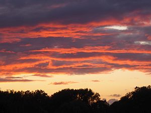 Sunset at Runnymede.